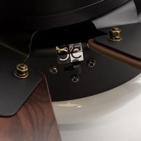 ZEVENTI - Ventilatore da soffitto FAMARA 1xE14/60W/230V