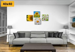 Set di quadri – Splendidi fiori nel prato