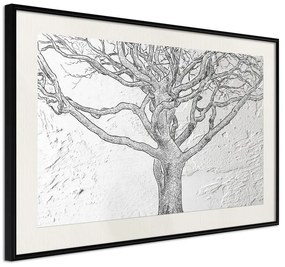 Poster  Tangled Branches  Cornice Quadri Cornice nera con pass-partout, Larghezza x Altezza Home decor 45x30