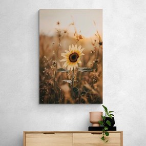 Quadro su tela – Girasoli al tramonto