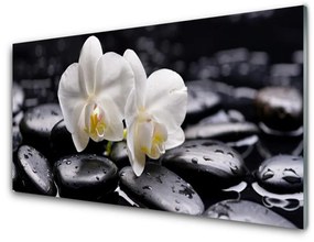 Quadro vetro acrilico Zen White Orchid Spa 100x50 cm
