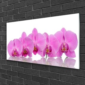 Quadro in vetro Fiori di orchidea rosa 100x50 cm