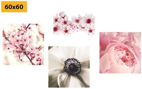 Set di quadri – Delicatezza dei fiori
