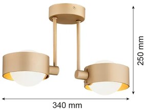 Argon 7215 - Lampadario da bagno a sospensione con supporto rigido MASSIMO PLUS 2xG9/6W/230V IP44 oro