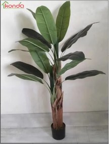Pianta Banana Artificiale 165 Cm