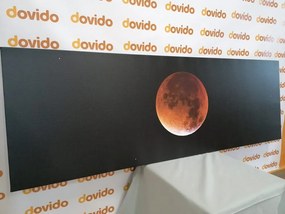 Stampa su tela – Luna nel cielo notturno