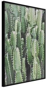 Poster  Cactus Plantation  Cornice Quadri Cornice nera, Larghezza x Altezza Home decor 20x30