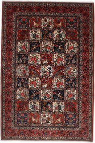 Bakhtiar Tappeto 220 x 320 (Iran) Annodato A Mano
