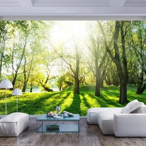 Fotomurale adesivo  Sunny May Day  Larghezza x Altezza Home decor 392x280