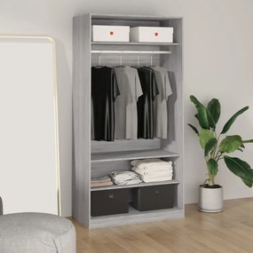 Armadio Grigio Sonoma 100x50x200 Cm İn Legno Multistrato /