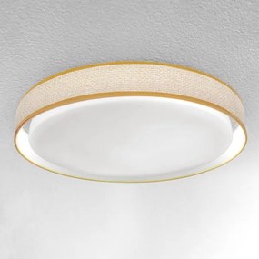 Brilagi - Lampada da soffitto dimmerabile KIANIA LED/48W/230V 3000-6500K + DO