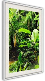 Poster  In the Rainforest  Cornice Quadri Cornice nera con pass-partout, Larghezza x Altezza Home decor 30x45