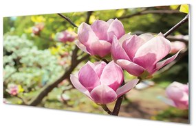 Quadro vetro acrilico Alberi magnolia 100x50 cm