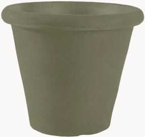 Portavaso Camelia