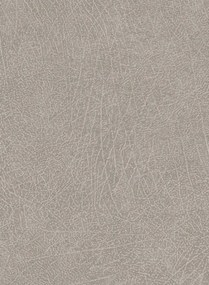 Elefantenhaut Tapete Skin 5 von Eijffinger - Grau