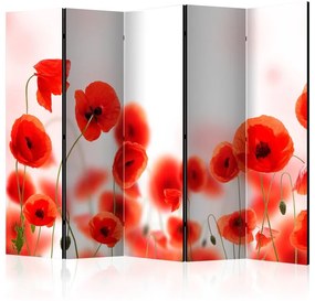 Paravento  Sleepy poppy's land II [Room Dividers]  Colore Bianco, Dimensioni e Misure 225x172