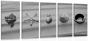 Quadri 5 pezzi – Conchiglie sulla spiaggia sabbiosa in bianco e nero