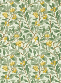 Morris & Co Carta da parati Arbutus - Sage/ Lemon