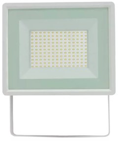 Proiettore 100W IK7 IP65 B. NATURALE Colore Bianco Naturale 4.000K
