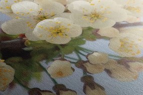 Stampa su tela – Ramo fiorito di ciliegio