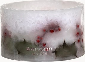 Candela profumata a tre stoppini Botanica (ribes, cannella)