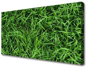 Quadro stampa su tela L'erba Il prato 100x50 cm