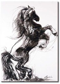 Quadro  Cavallo  Larghezza x Altezza Home decor 50x70