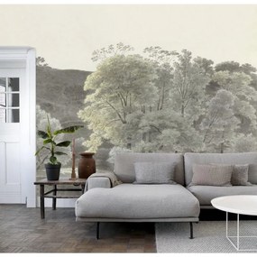 Fotomurale ESTA Bosco, verde 372X280 cm