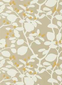 Harlequin Carta da parati Ardisia - Soft Focus/ Oyster/ Gold