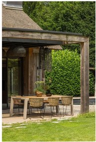 Set di 2 sedie Nature Wings - WOOOD