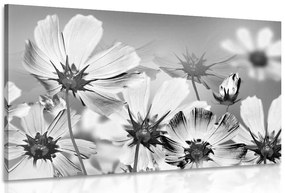 Stampa su tela – Fiori estivi in bianco e nero