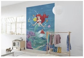 Fotomurale Ariel, multicolore