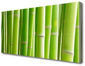 Quadro su tela Stelo della pianta del fiore di bambù 100x50 cm