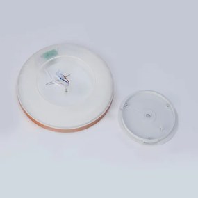 Brilagi - Plafoniera LED da bagno Ultra Slim 18W/230V Ø 30 cm oro rosa IP54