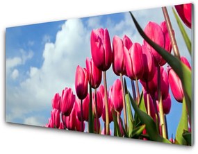 Quadro in vetro Muro di tulipani 100x50 cm