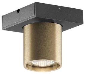 Light Point - Focus Mini 1 LED Plafoniera 3000K Brass LIGHT-POINT