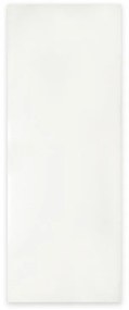 Pannello per porta d'ingresso verniciato prodotto senza rivestimento bianco L 95 x H 215 cm, Sp 0.6 mm