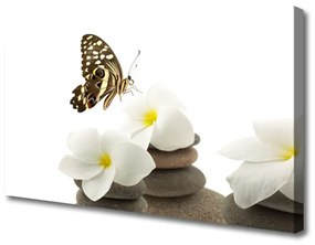 Quadro su tela Farfalla, fiore, pietre 100x50 cm