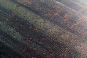 Quadro su tela – Mistero della foresta