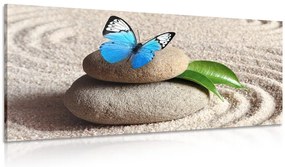 Quadro su tela – Farfalla blu su pietra Zen