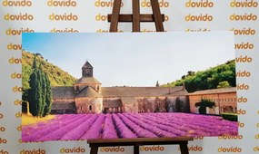 Stampa su tela – Provenza con campi di lavanda