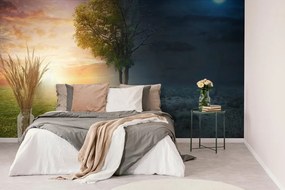 Carta da parati – Giorno e notte