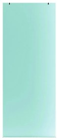 Anta per porta scorrevole Trasparente Cristal in cristallo L 86 x H 215 cm reversibile