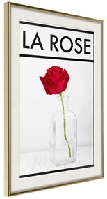 Poster Rose in the Vase