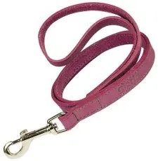 Guinzaglio per Cani Gloria Oasis 3 x 60 cm Rosa