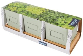 Set di vasi in metallo per erbe aromatiche 3 pz Greenish - Orion