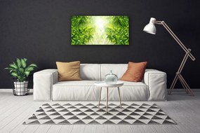 Quadro su tela Foglie di piante naturali 100x50 cm