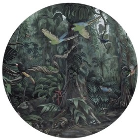 KEK Amsterdam Carta da parati panoramica Tropical Landscapes 1 Circle - L - 2.375m