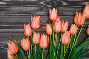 Stampa su tela – Incantevoli tulipani arancioni su sfondo di legno
