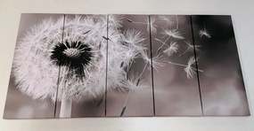 Quadri 5 pezzi – Dente di leone magico in bianco e nero
